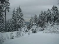 Ein Winter in Dal'Riada II